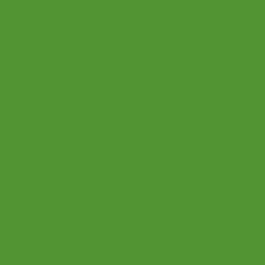 Marker Winsor and Newton G356 Forest Green Promarker