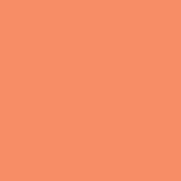 Marker Winsor and Newton O148 Peach Promarker