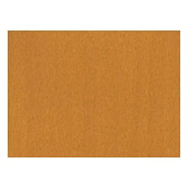 Acrylpigmenttusche 667 Siena Natural FW Daler-Rowney 29,5ml