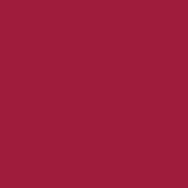 Siser Heat Transfer Vinyl PS Film Burgundy 30x100cm