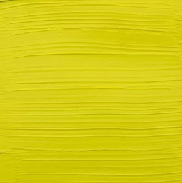 Acrílico 219 Amarillo Verdoso Claro Expert Series Amsterdam 150ml