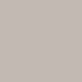 Tubo acrilico 438 Terra d'ombra pallida S1 Gallery Winsor and Newton 120ml