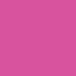 Acrílico serigrafia System3 538 Rosa Fluorescente Daler-Rowney 250ml