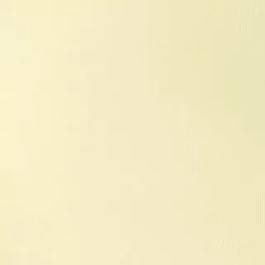 Tubo acrílico 434 Pale Lemon S1 Gallery Winsor e Newton 60ml