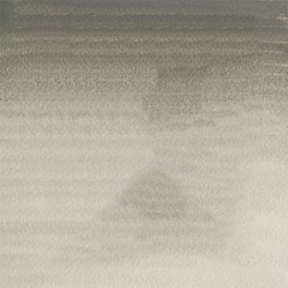 Aquarel medium godet 217 Davy Grey S1 Professional Winsor and Newton