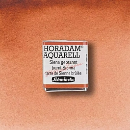 Schmincke Horadam Aquarell Halb Godet Sienna Gebrannt 661 