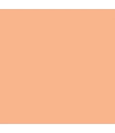 SUPER AANBIEDING **50%** Stamperia Baby Pink Allegro acrylverf 236ml