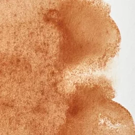 Tube d'aquarelle 059 Brown Ochre S1 Professional Winsor and Newton 5ml