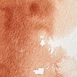 Tube d'aquarelle 074 Sienne brûlée S1 Professional Winsor and Newton 5ml