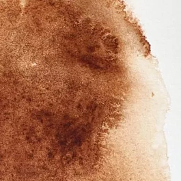 Tube d'aquarelle 076 Burnt Umber S1 Professional Winsor and Newton 5ml