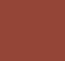 Matita Lightfast Chestnut Derwent 