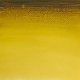 Aquarel medium godet 294 Groen Goud S2 Professioneel Winsor en Newton