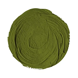 Farba akrylowa w tubce Cynober Zielony Tostado S2 Extra Fine Arts Titan 60ml