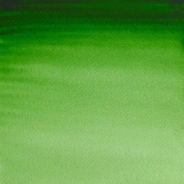 Aquarel medium godet 311 Hooker S1 Professional Groen Winsor en Newton