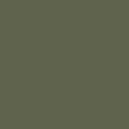 SUPER OFFER **40%** Derwent Watercolour Pencil 67 Ivory Black