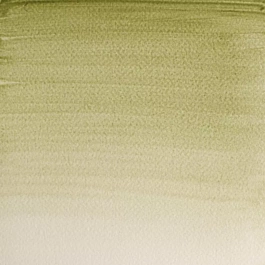 Aquarel medium godet 638 Aardgroene gele tint S1 Professioneel Winsor en Newton