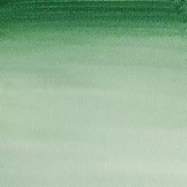 Tubo per acquerello 312 Hooker verde scuro S1 Cotman Winsor and Newton 21ml