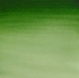 Tubo per acquerello 314 Verde Hooker chiaro S1 Cotman Winsor and Newton 21ml