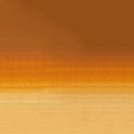 Aquarel medium godet 285 Oker Goud S2 Professioneel Winsor en Newton