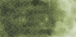 Acquerello giapponese gigante Godet 504 Verde grigio Gansai Tambi Kuretake