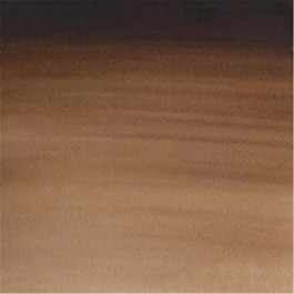 Aquarel medium godet 676 Bruin Van Dyck S1 Professional Winsor en Newton