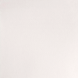 Aquarel medium godet 150 Chinees Wit S1 Professioneel Winsor en Newton