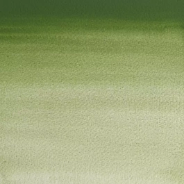 Aquarel medium godet 459 Chroomoxide S3 Professional Winsor en Newton