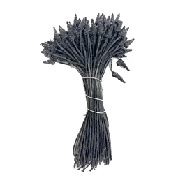 Black pistils with a black tuft