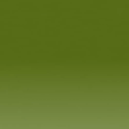 Derwent Inktense Aquarelpotlood 1600 Leaf Green