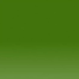 Lápis Procolour 50 Verde Musgo Derwent