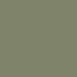 Matita Lightfast Lichen Green Derwent 