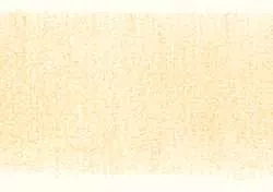 Coloursoft 560 Peach Derwent-potlood