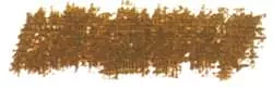Oil pastel 210 Sennelier olive brown