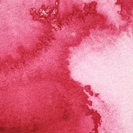 Tube d'aquarelle 502 Permanent Rose S3 Professional Winsor and Newton 5ml