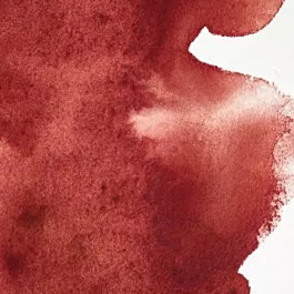 Aquarelle Professionnelle 507 Perylène Marron S3 Winsor &amp; Newton 5ml