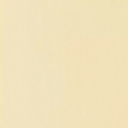 Acrylic paint Basics X436 Parchment Liquitex 118ml