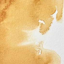 Aquarelle Professionnelle 552 Raw Sienna S1 Winsor &amp; Newton 5ml