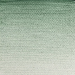 Aquarel medium godet 637 Groene aarde S1 Professional Winsor en Newton