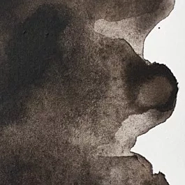 Aquarelle professionnelle 609 Sepia S1 Winsor &amp; Newton 5ml