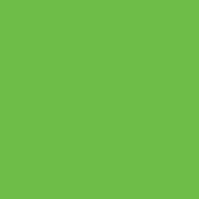 Vitrail Pébéo 58 Vert vif