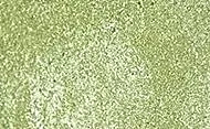 Sennelier Aquarelverf Tube 10ml 081 Iridescent Yellow Green S2