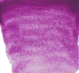 Tubo acuarela 539 violeta cobalto S3 Rembrandt 10ml