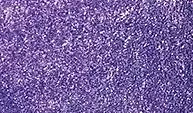 Sennelier Aquarelverf Tube 10ml 090 Iridescent Light Violet S2