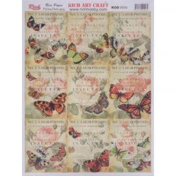 Papier de riz fleurs et papillons riche 29x42cm