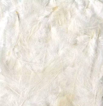 Piume Bianche Artemio 10gr