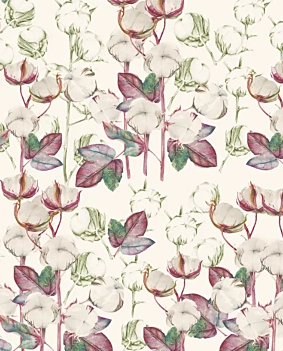 Carta Cotone Tassotti