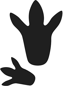 Artemio Dino Footprints umiera