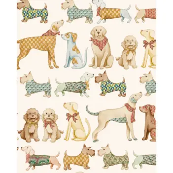 Tassotti Papier Cani in carta 