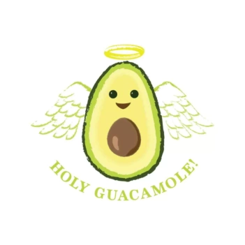 Iron On Holly Heat Transfer Designs Guacamole Cricut Maker/Explore 21x30cm