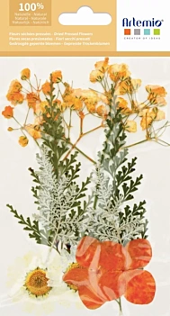 Flores prensadas Naranja y Amarillo Artemio